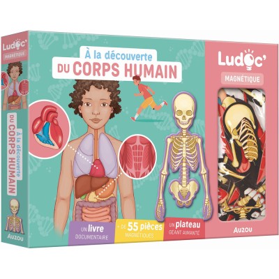 A la découverte du corps humain - Activités et loisirs créatifs - Auzou