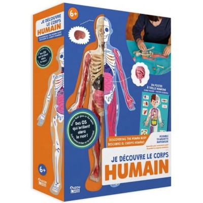 Je découvre le corps humain - Activités et loisirs créatifs - Auzou