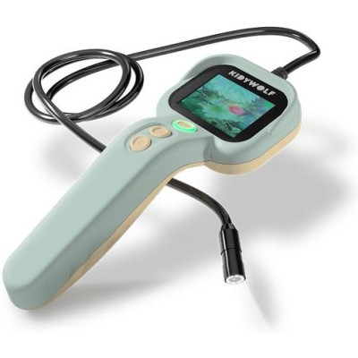 Kidyexplore – - Kidywolf