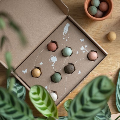 Coffret 7 bombes à graines - Moulin Roty