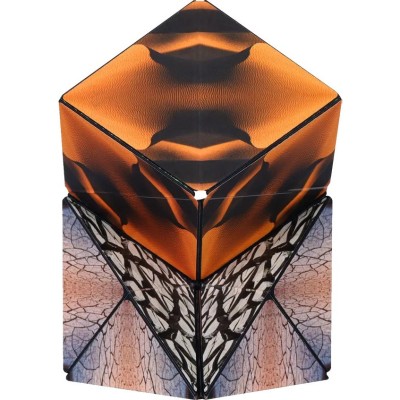 Duomoto - Parched - Casse-Tête